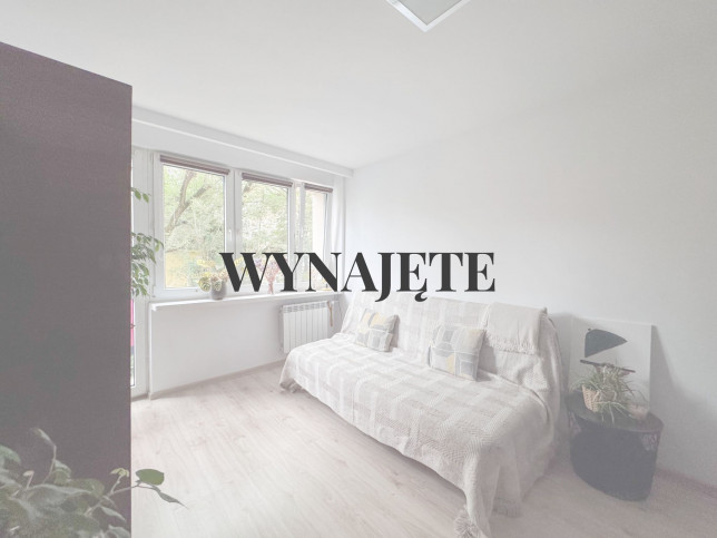 Mieszkanie Wynajem Kraków Kraków-Śródmieście Trynitarska 1